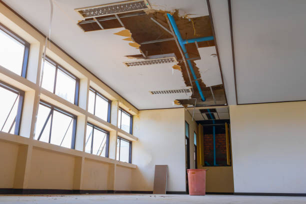 Best 24-hour water damage restoration  in Nixa, MO