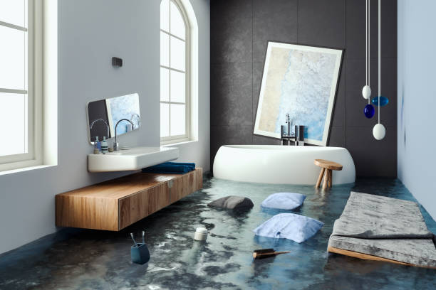 Best Flooded house restoration  in Nixa, MO