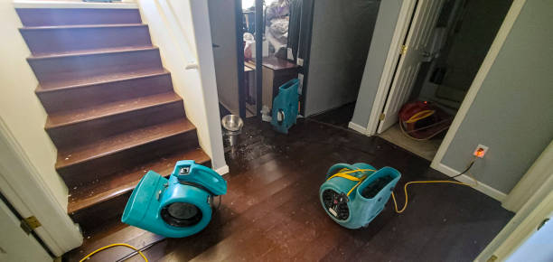Best Ceiling water damage repair  in Nixa, MO
