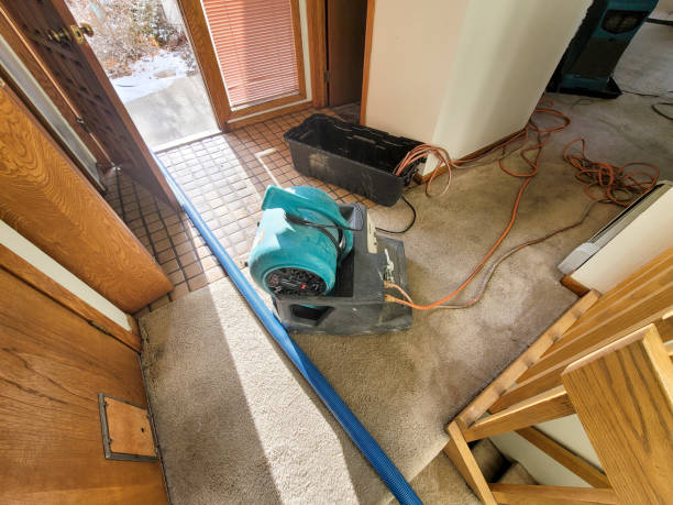Best Flood damage cleanup  in Nixa, MO
