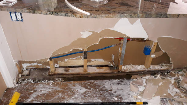 Best Local water damage restoration  in Nixa, MO