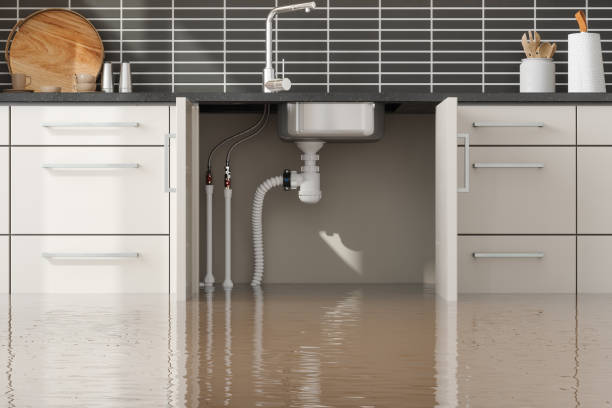 Best Professional water damage repair  in Nixa, MO