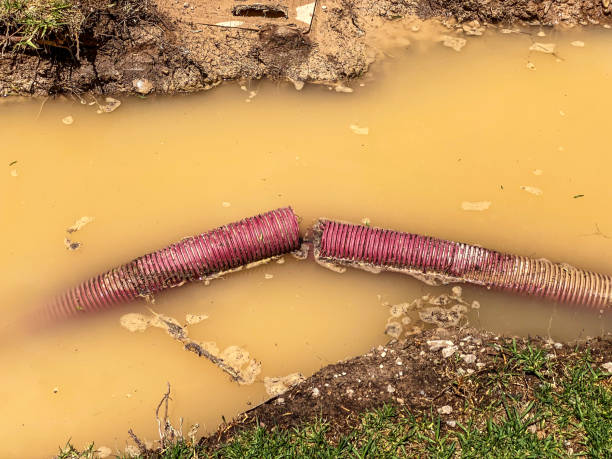 Best Emergency water damage restoration  in Nixa, MO