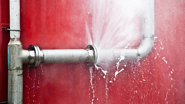 Best Fire Damage Restoration  in Nixa, MO